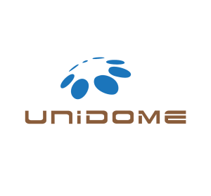 Handmade Wooden Frame Unidome