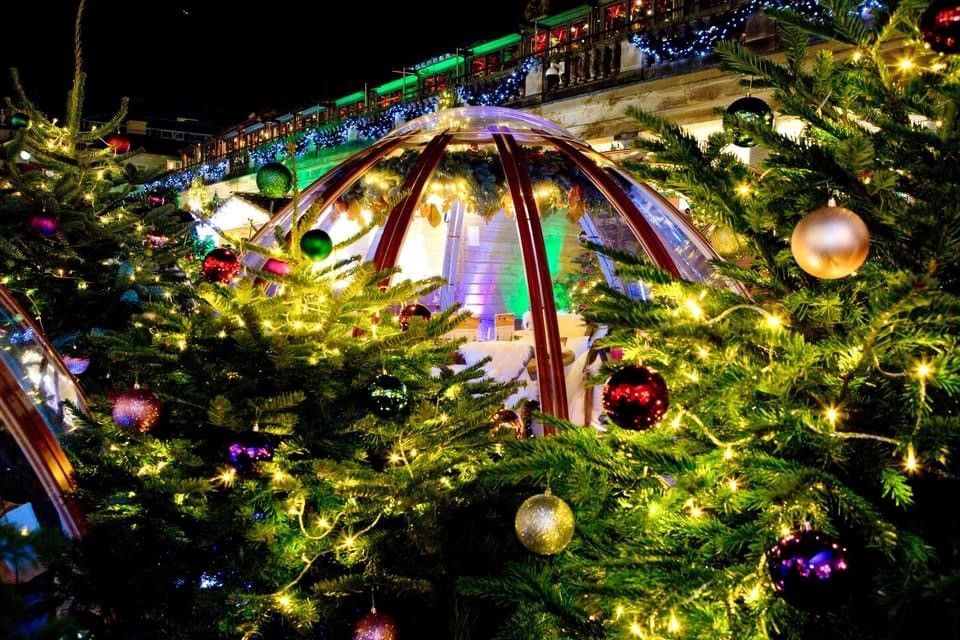 Covent Garden Ramsbury’s Forest Domes